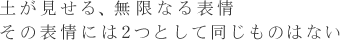 土が見せる、無限なる表情 その表情には2つとして同じものはない